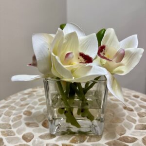 Orchid Bud Vase White